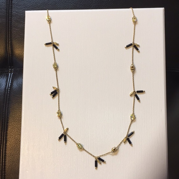 Jewelry - Goldtone long necklace with black accents
